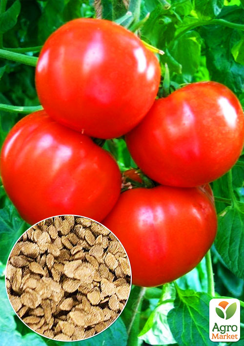 

На вагу Томат Буржуй ТМ Весна ціна за 1г