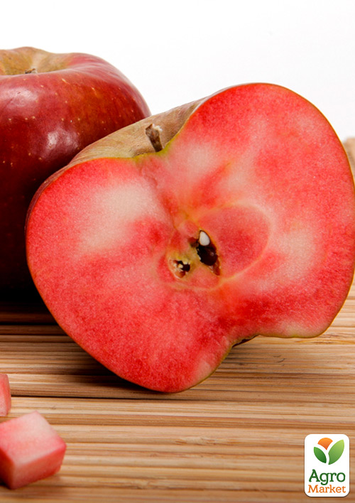 

Яблуня Красном'ясна Ред Сан (Red Sun) (літній сорт, середній термін дозрівання)