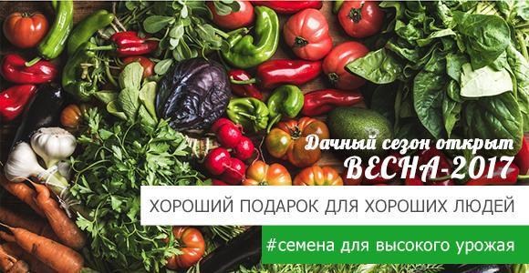 Дарим 5 видов семян для прекрасной клумбы! Дарим 5 видов семян для прекрасной клумбы!