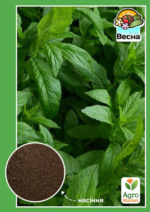 Мята ТМ "Весна" 0.2г