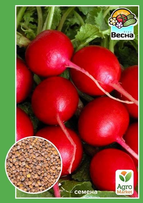 

Редис Заря ТМ Весна 2г