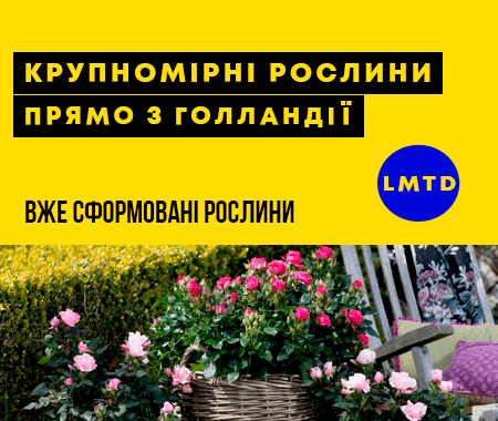 Крупномірні рослини LiMiTeD Крупномірні рослини LiMiTeD