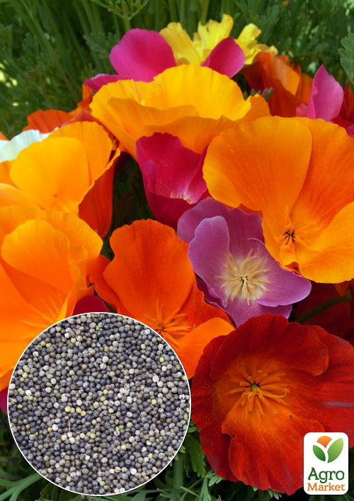 

На вагу Ешшольція суміш ТМ Весна ціна за 2г