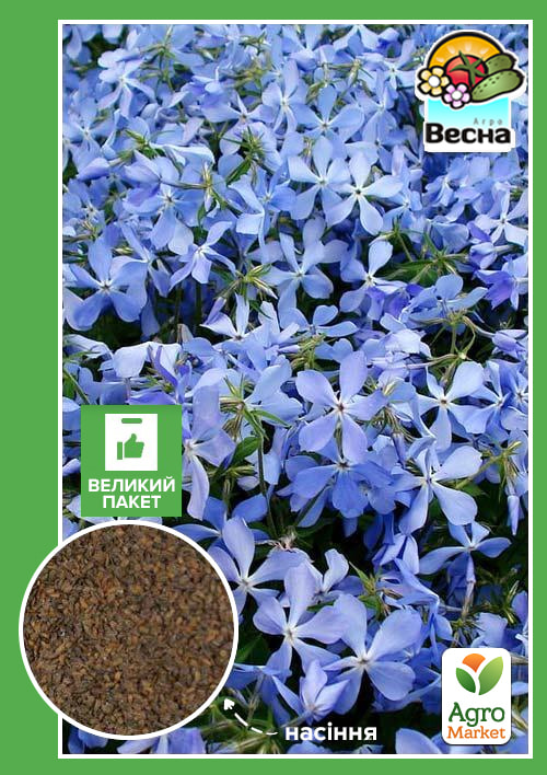 

Матіола Вечірній аромат (Великий пакет) ТМ Весна 4г