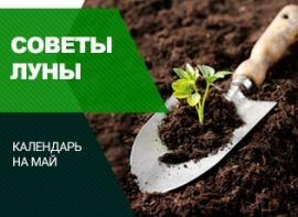 Лунный календарь на май 2020