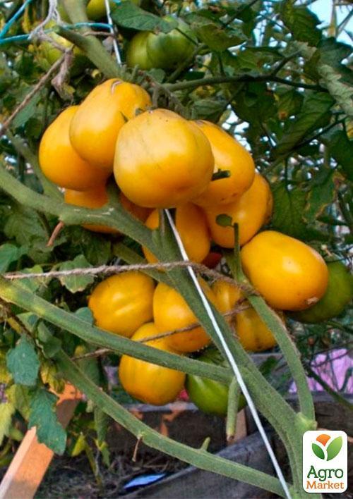 

На развес Томат Белый айсберг ТМ Весна цена за 1г