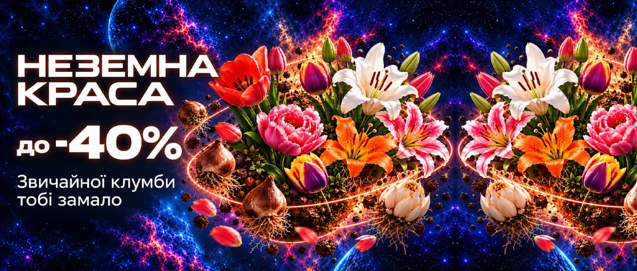 Неземні знижки до -40% на цибулини квітів
