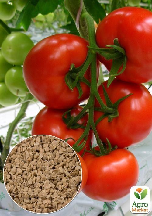 На развес Томат "Три толстяка" ТМ "Весна" цена за 1г