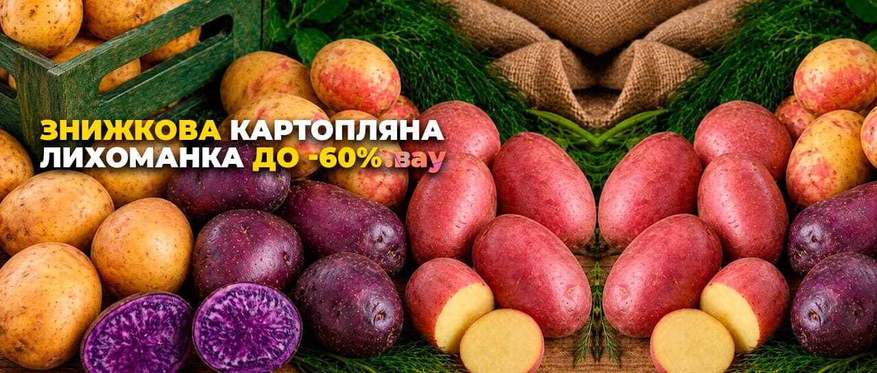 Знижкова картопляна лихоманка до -60%