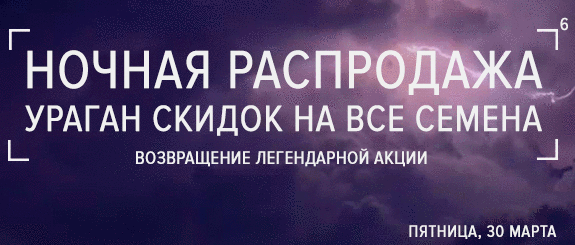 Ночная распродажа 6: Возвращение легендарной акции со скидками до -100% Ночная распродажа 6: Возвращение легендарной акции со скидками до -100%