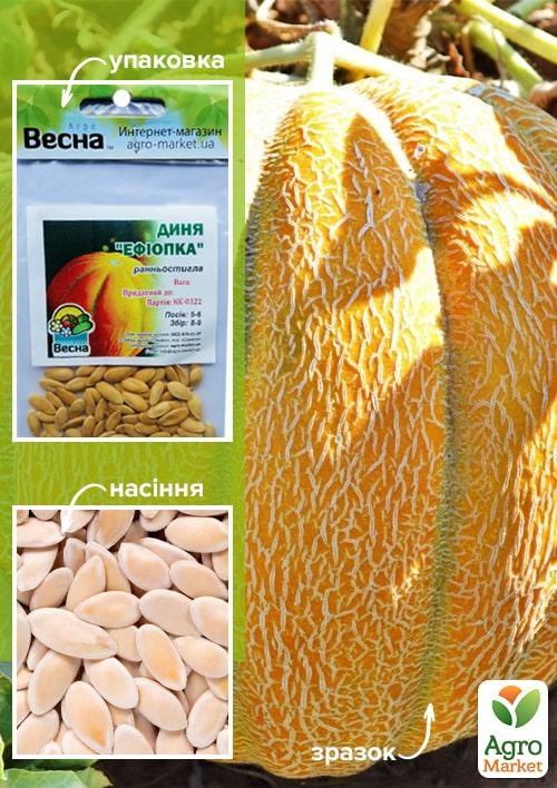 

Дыня Эфиопка (Зипер) ТМ Весна 3г