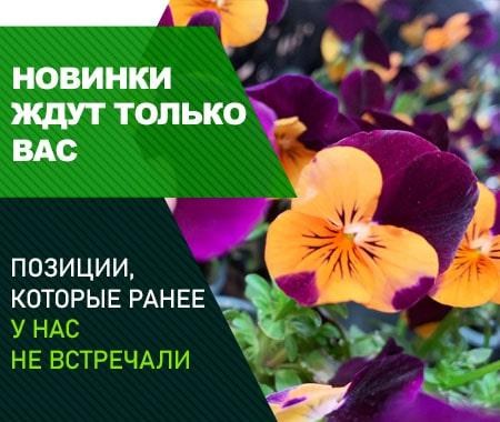 Абсолютные новинки! Абсолютные новинки!