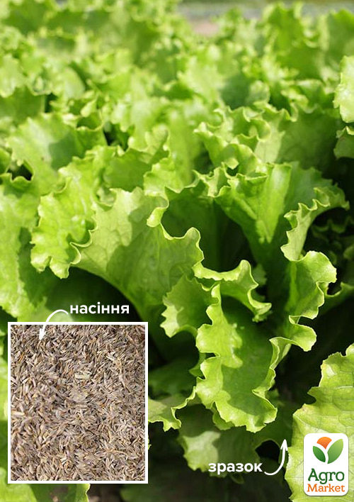 

На вагу Салат Гранд ТМ Весна ціна за 8г