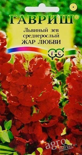 

Львиный зев "Жар любви" ТМ "Гавриш" 0.1г