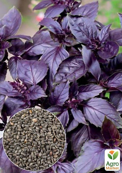 

На развес Базилик фиолетовый ТМ Весна цена за 3г