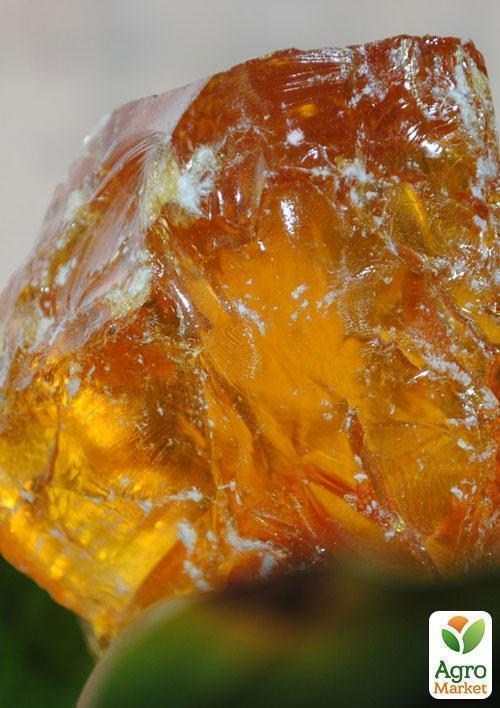 Живица сосны, 50мл купить почтой в Одессе, Киеве, Украине | Agro-Market