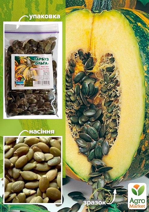 

Тыква Ольга ТМ Весна 100г