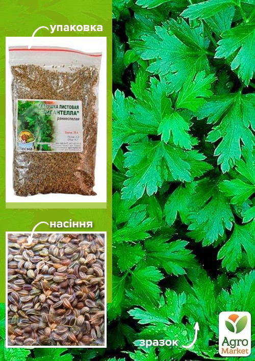 

Петрушка Гігантелла ТМ Весна 100г