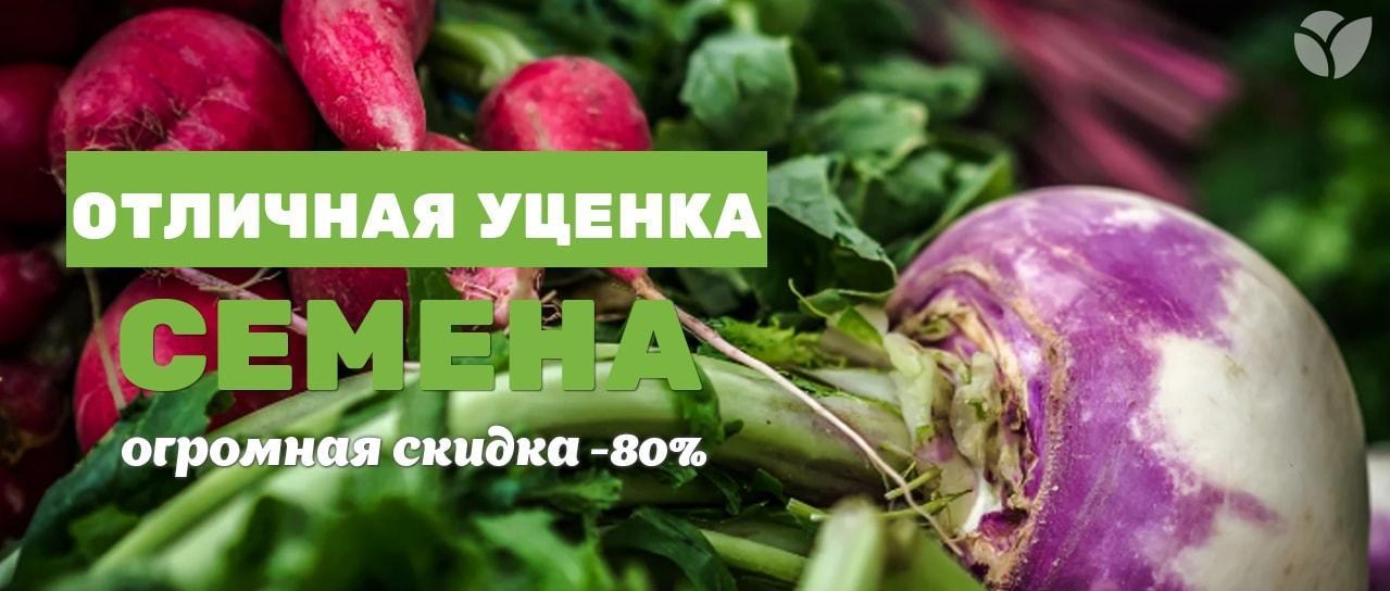 Акция! Семена с огромными скидками -80% Акция! Семена с огромными скидками -80%