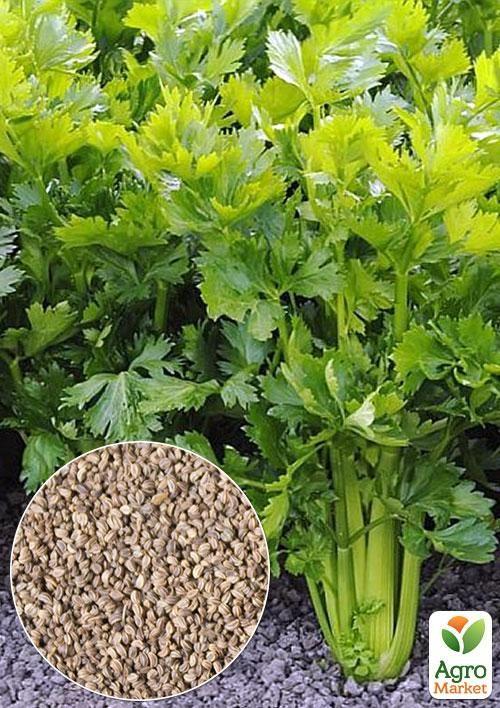 

На вагу Селера черешкова Аврора ТМ Весна ціна за 2г