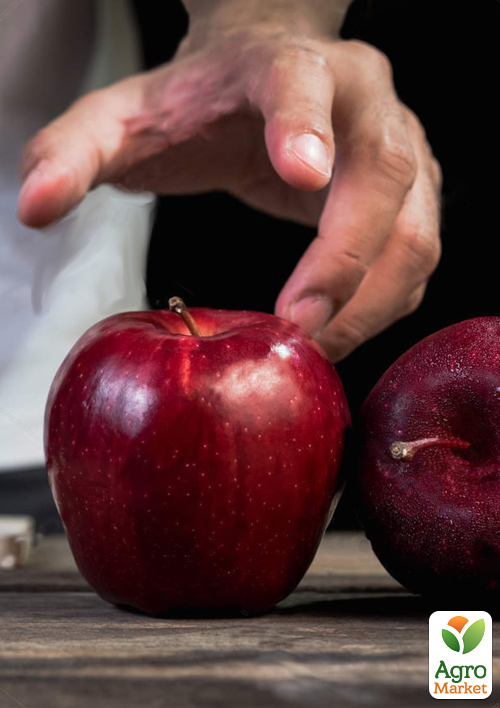 

Яблуня Чорний Принц (зимовий сорт, средньо-пізній термін дозрівання)