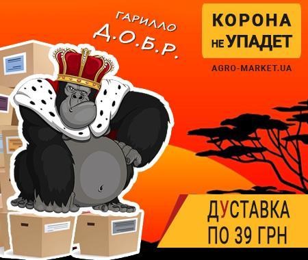Акция! Доставка заказов всего 39 грн Акция! Доставка заказов всего 39 грн