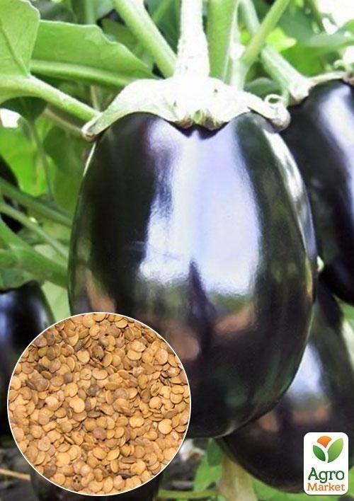 

На развес Баклажан Черный красавец ТМ Весна цена за 2г