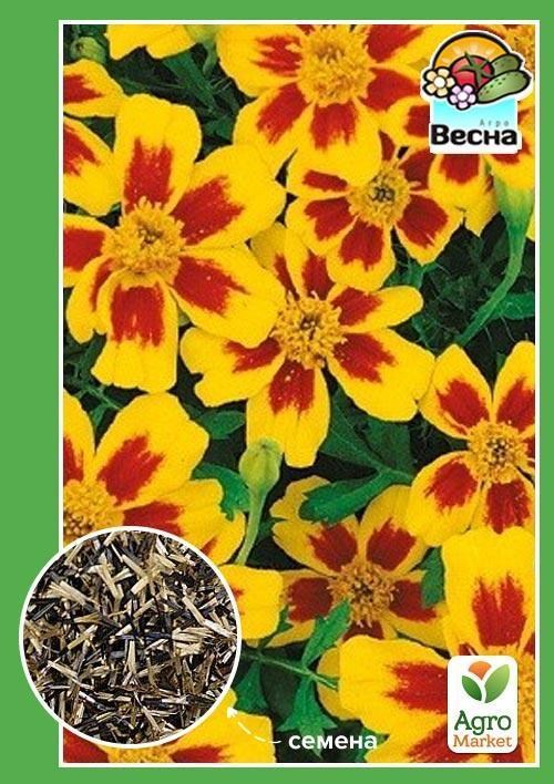 

Бархатцы Легион чести ТМ Весна 0.3г