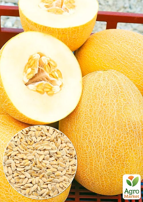 

Диня Престиж ТМ Весна 1.5г