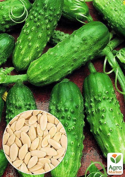 

На развес Огурец Французский корнишон ТМ Весна цена за 1г