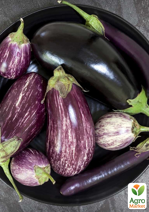 

Комплект семян баклажанов Баклажанная поляна 5уп