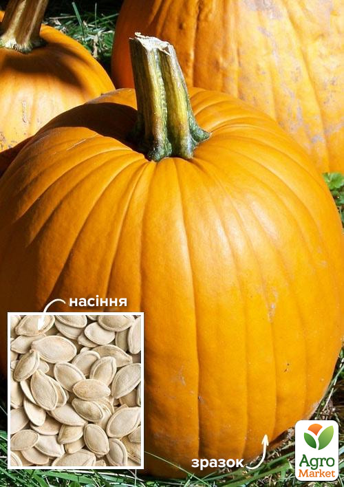 

На вагу Гарбуз Посмішка ТМ Весна ціна за 10г