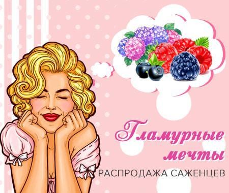 Гламурные мечты Гламурные мечты