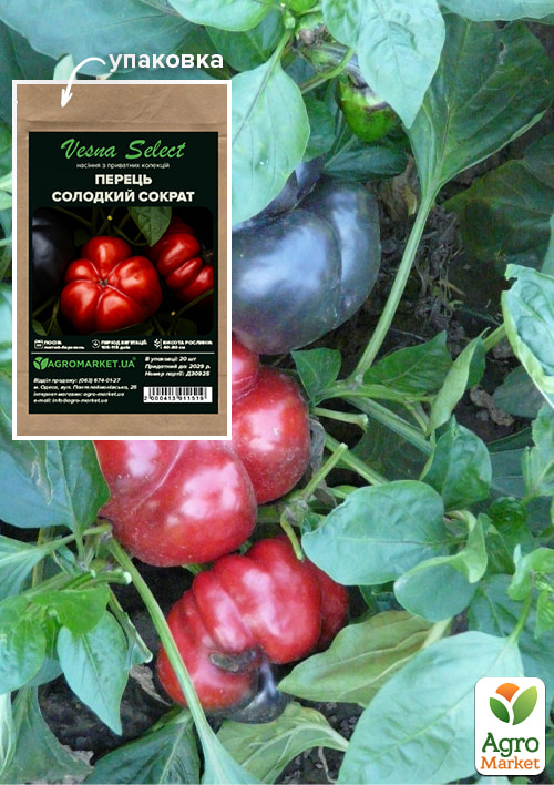 Перець "Солодкий Сократ" ТМ "Vesna Select" 20шт