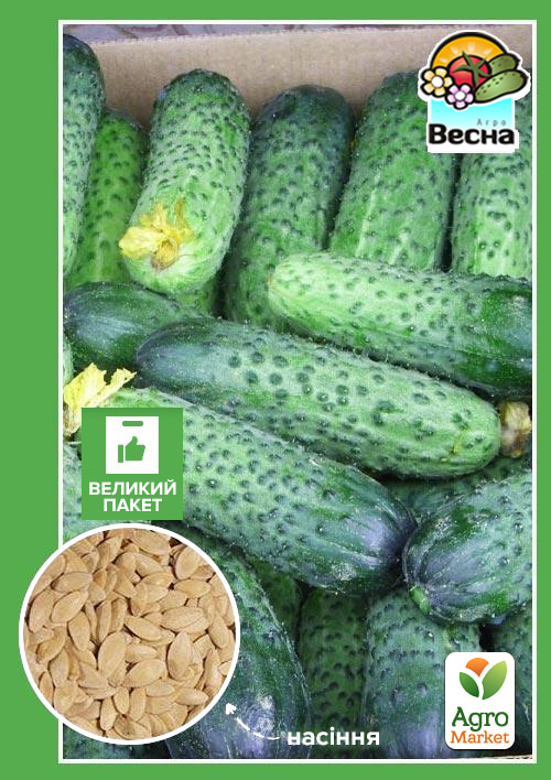 

Огірок Бригадний F1 (Великий пакет) ТМ Весна 1,5г