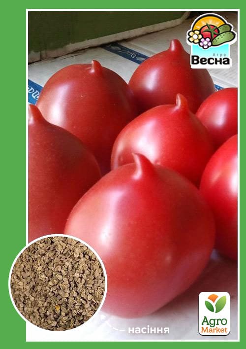 

Томат С носиком (Новый пакет) ТМ Весна 0.1г