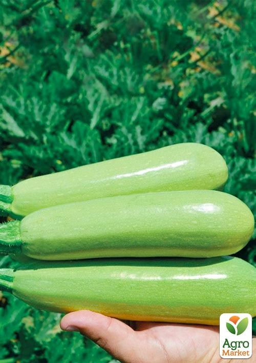 

Кабачок "Теренум F1" ТМ "Lark Seeds" 500шт