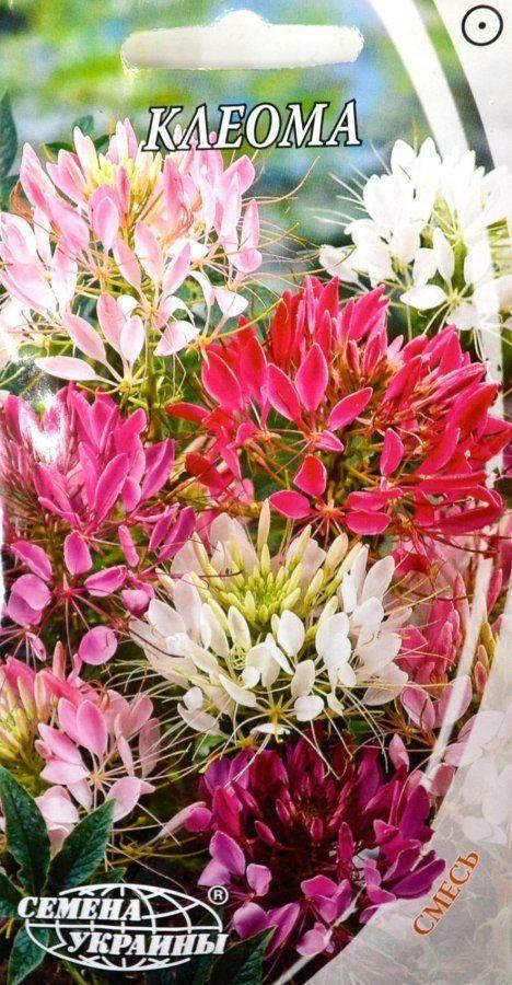 Клеома ТМ "Насіння України" 0.5г