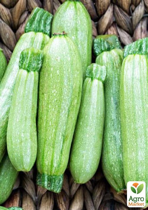 

Кабачок Кустовой ранний (в банке) ТМ Весна Органик 20г
