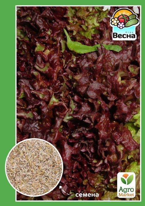 

Салат Малиновый шар ТМ Весна 0.5г