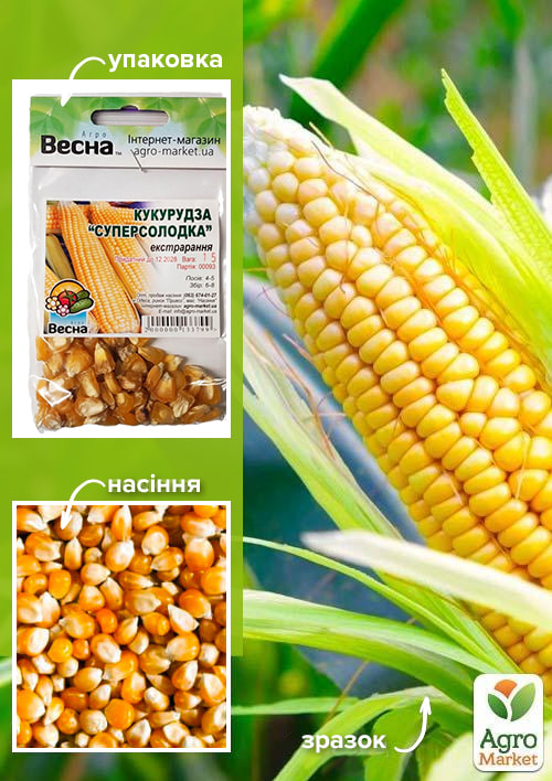 

Кукурудза Суперсолодка (Зипер) ТМ Весна 15г