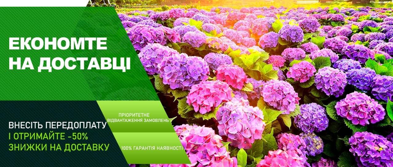 Акція! Внесіть передоплату і отримайте знижку 50% на доставку Акція! Внесіть передоплату і отримайте знижку 50% на доставку