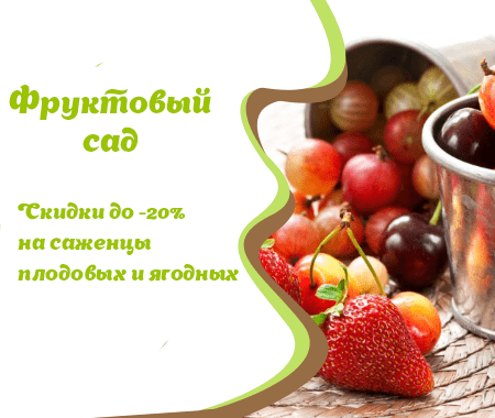 Акция! Фруктовый сад со скидками до -20% Акция! Фруктовый сад со скидками до -20%