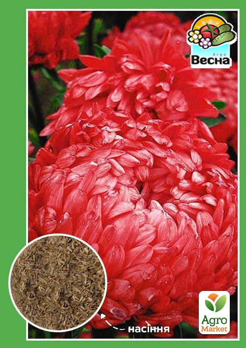 

Астра Королевский размер красная ТМ Весна 0.2г