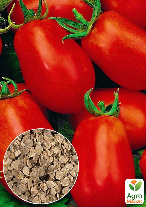 

На вагу Томат Роман ТМ Весна ціна за 1г