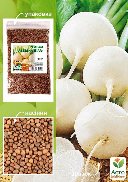 

Редька Лебедка белая ТМ Весна 100г