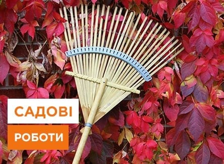 Садові роботи у листопаді - корисні статті про садівництво від Agro-Market