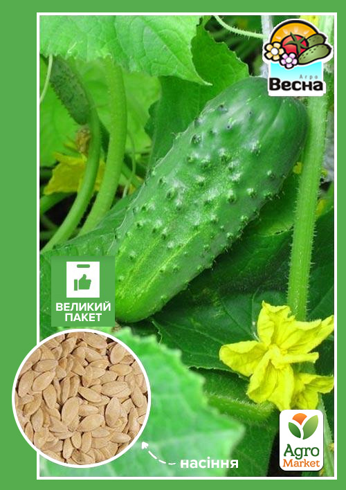 

Огурец Соплица F1 (Большой пакет) ТМ Весна 1.5г