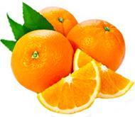 Саженцы апельсина