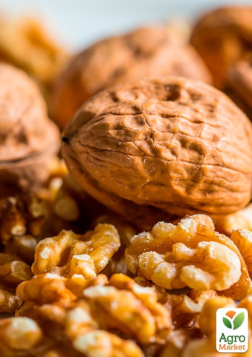 

Волоський горіх Кочерженко (ранній термін дозрівання)